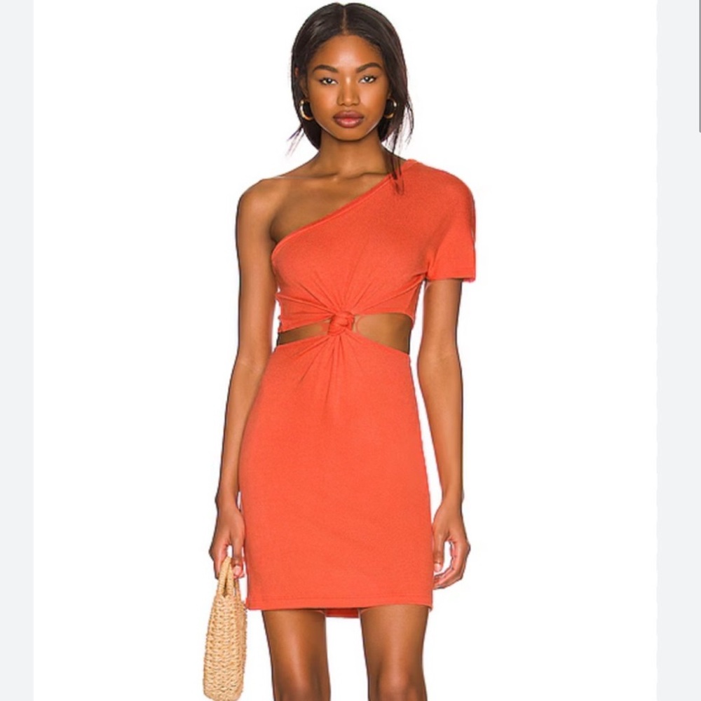 LNA Rogue Dress! NWT!